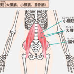 立ち上がろうとすると腰が痛い！3つの原因と解消法・座り方のポイント