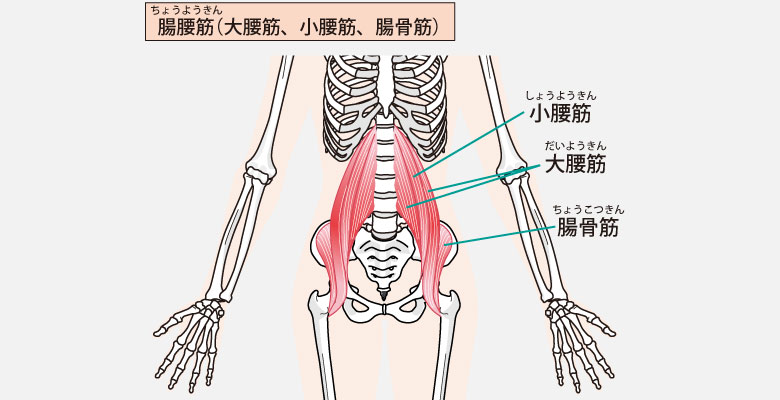 立ち上がろうとすると腰が痛い！3つの原因と解消法・座り方のポイント