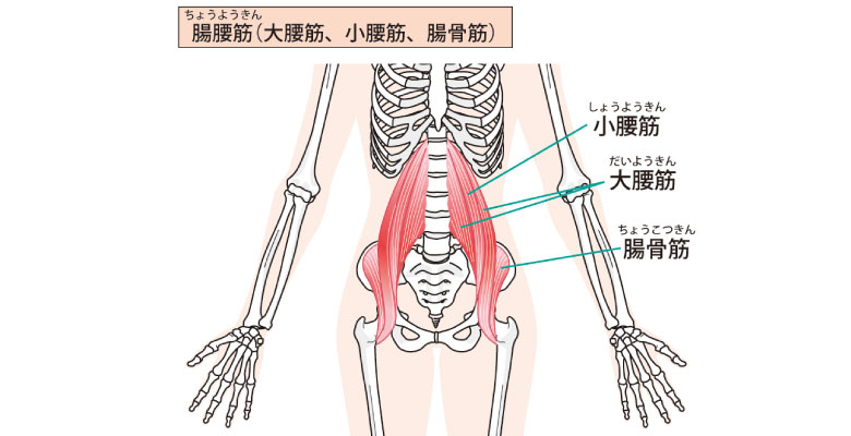 大腰筋の過緊張